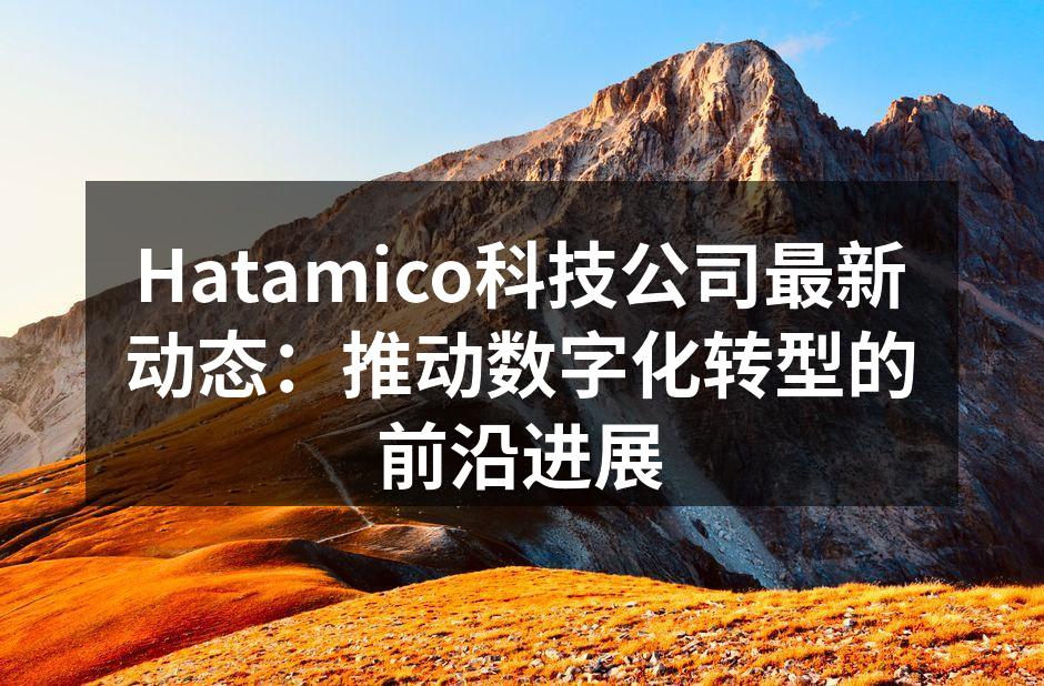 Hatamico智能家居系统的展示