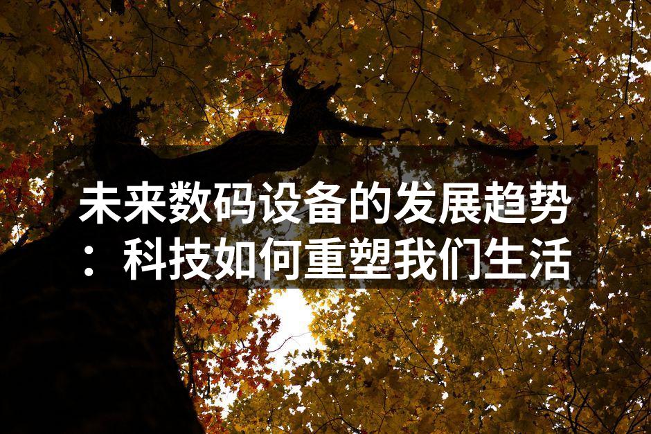 数码设备与科技的完美结合
